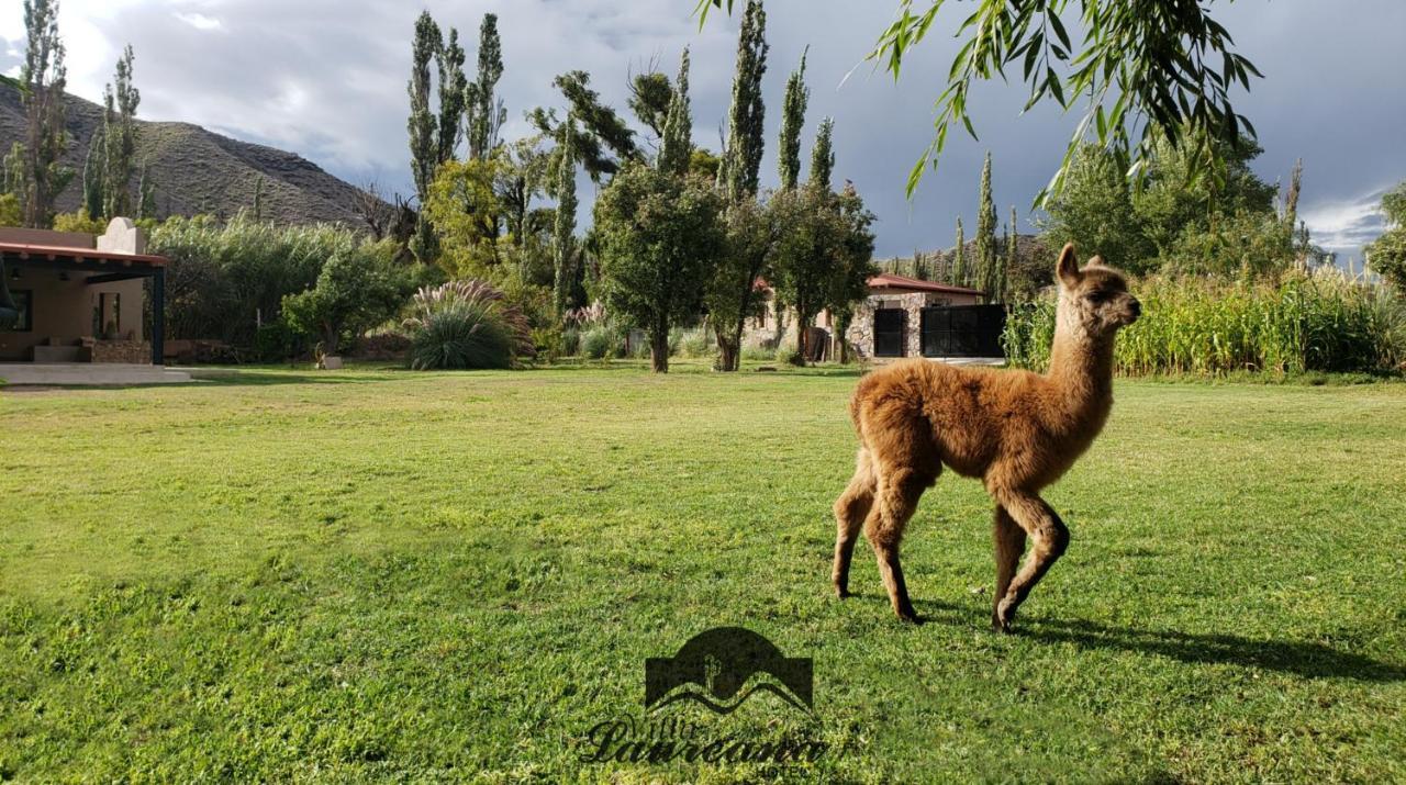 Villa Laureana Уакалера Экстерьер фото